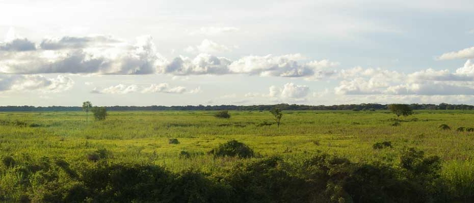 Cercado Beni - Bolivia